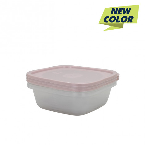 CLARIS Fastpac Square 2722-3 Purple