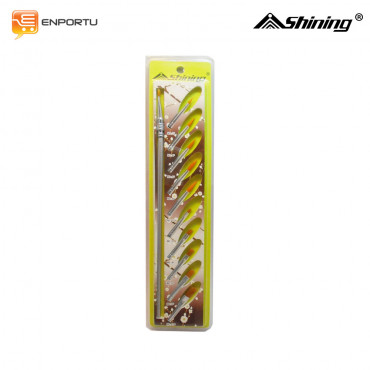Shining Kuas Gambar AS2