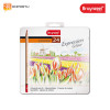 Bruynzeel Expression Coloured Pencils Tin 24
