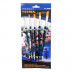 Jual LYRA Art Brush Flat Set